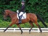 dressage horse Caya 21 (Hanoverian, 2008, from Helenenhof's Carabas)