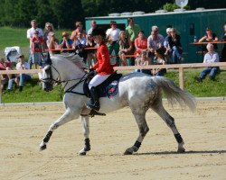 stallion FBW Cayton (Württemberger, 2002, from Calido I)