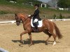 dressage horse Ghena (German Riding Pony, 2006, from HB Daylight)