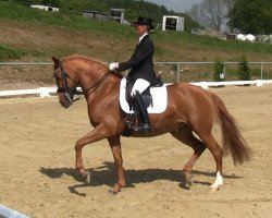 dressage horse Ghena (German Riding Pony, 2006, from HB Daylight)