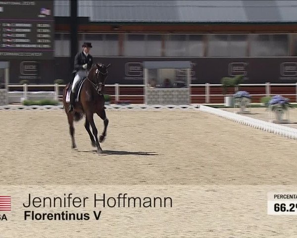 Video of Florentinus V 219 FIN