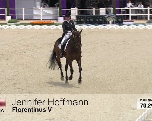 Video of Florentinus V 219 FIN