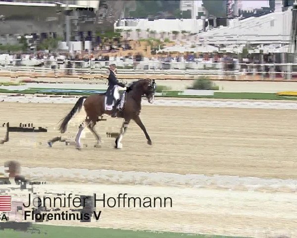 Video of Florentinus V 219 FIN