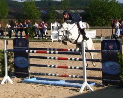 broodmare Artocentina (Zangersheide riding horse, 2003, from Artos Z)