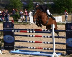 Springpferd Con-Furio (Hessisches Warmblut, 2005, von Cheenook)