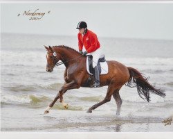 dressage horse Freund Fred (Westphalian, 2003, from Fiano)