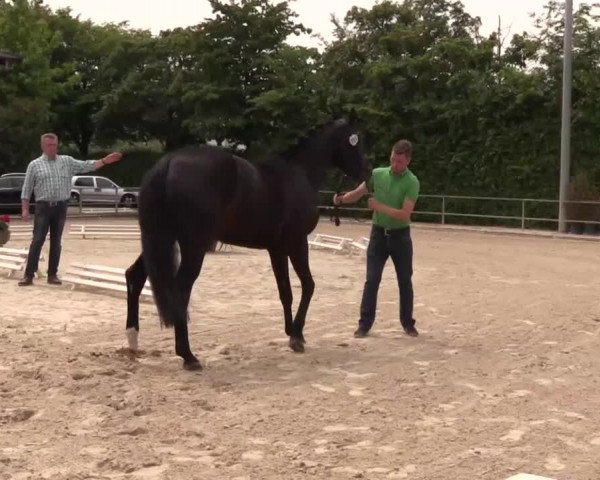 Video of Sky of Love