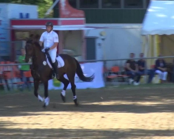 Reitturnier Grefrath 2015
26 Mannsch.-Springprfg.Kl.A* mit 1 Umlauf