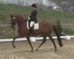 dressage horse Rabea 90 (Oldenburg, 2005, from Relevant)