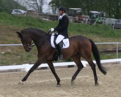 dressage horse Lordinho (Westphalian, 2004, from Laudabilis)