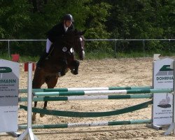 jumper Calla 40 (Holsteiner, 2009, from Cancara)