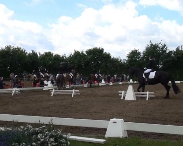 Reitturnier Willich-Anrath-Neersen 2015