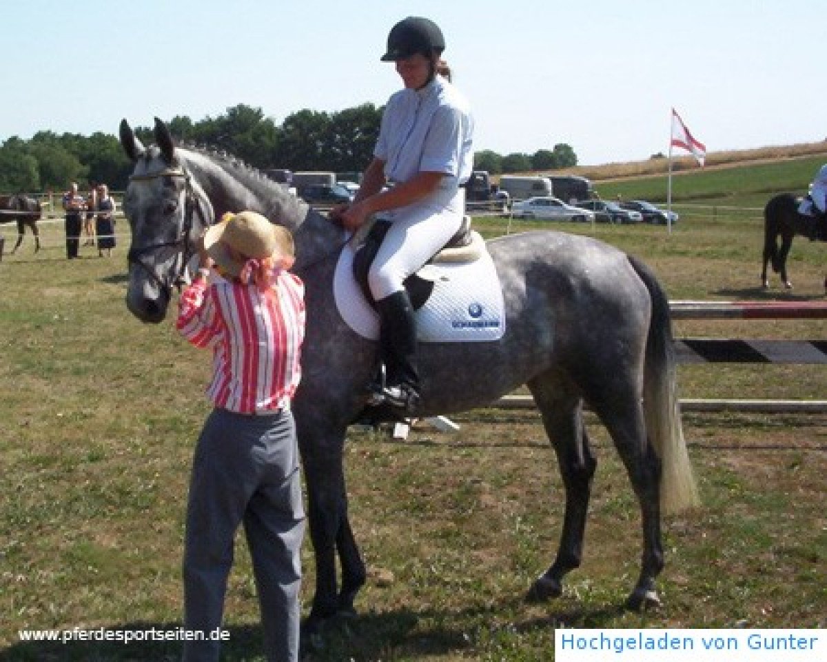 jumper Guccigirl (Hanoverian, 1999, from Graf Grannus)