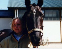 Zuchtstute Herzblatt VIII (Trakehner, 1992, von Heinrich der Loewe)