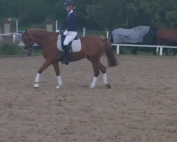 Video of Max 3204