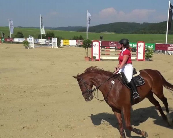 Reitturnier Lindlar-Süttenbach 2015