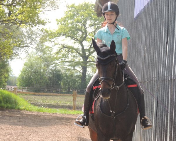 dressage horse Raissa (Hanoverian, 2000, from Rubinstein I)