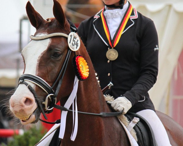 broodmare Cascada Royale WE (German Riding Pony, 2010, from Casino Royale K WE)