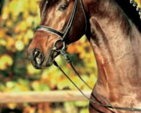 broodmare Roadstar (Brandenburg, 1996, from Rohdiamant)