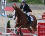 jumper Clay's Columbus (Oldenburg show jumper, 2006, from Clay)