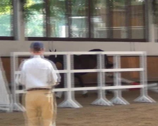 17.06.2015 Hannoveraner Zuchtstutenprüfung mit Stutbuchaufnahme und Fohlenschau in Coesfeld-Lette
ZSP - Stuten, die nur an der Zuchtstutenprüfung teilnehmen

Freispringen
