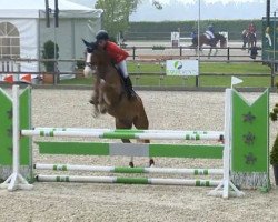 jumper Con Leche 3 (Hanoverian, 2009, from Carrico)