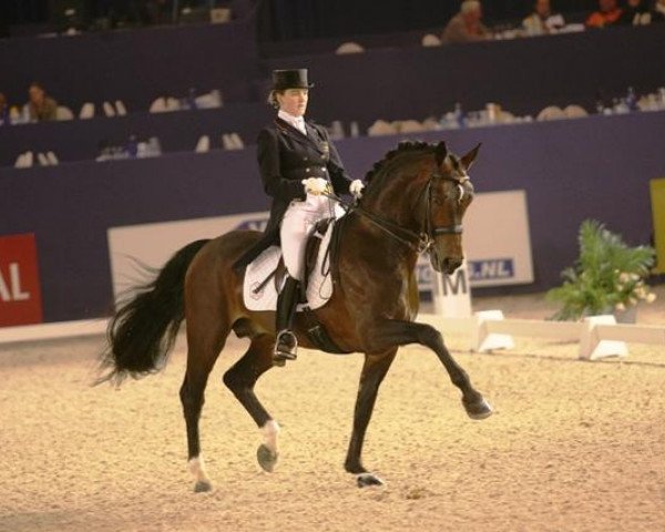 stallion Rubiquil (Westphalian, 1992, from Rubinstein I)