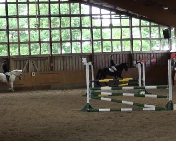 Sommerturnier Fröndenberg 2015