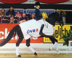 dressage horse Don Dai Quiri (German Riding Pony, 2001, from Diplomat)