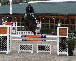 broodmare La Corunja 6 (Oldenburg show jumper, 2008, from Lord Pezi)