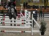 broodmare Lucy In The Sky 19 (Oldenburg show jumper, 2008, from Lord Pezi)