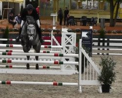 broodmare Lucy In The Sky 19 (Oldenburg show jumper, 2008, from Lord Pezi)