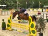 jumper Dobert (Hessian Warmblood, 2004, from D-Online)