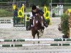 jumper Camillo WE (German Riding Pony, 2009, from FS Cracker Jack)