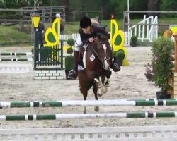 jumper Camillo WE (German Riding Pony, 2009, from FS Cracker Jack)