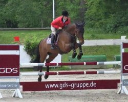 jumper Cassis (Oldenburg show jumper, 2009, from Canterbury)