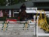 jumper Dschingis Boy (German Sport Horse, 2005, from Dinglinger)