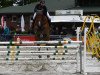 jumper Benedikt 29 (Oldenburg show jumper, 2005, from Balou du Rouet)