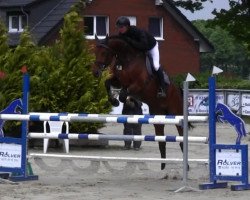 jumper Sagolda (Oldenburg show jumper, 2008, from Sandro Boy)