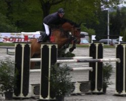 jumper Adoro 3 (German Sport Horse, 2007, from Acadius)