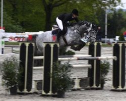 jumper Banderas 30 (KWPN (Royal Dutch Sporthorse), 2006, from Indorado)