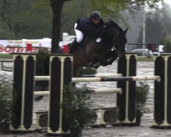 jumper Pepperoni Quickstep (Nederlands Rijpaarden en Pony, 2007, from Jodokus)