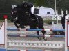 jumper Quickborn 6 (KWPN (Royal Dutch Sporthorse), 2006, from Quantum)