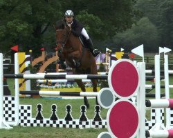 jumper Quax 48 (Oldenburg show jumper, 2006, from Quidam's Rubin)