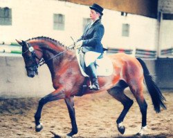 dressage horse Florentiano 2 (Rhinelander, 2006, from Florentianer)