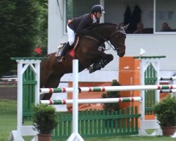 jumper Chactonus 2 (Oldenburg show jumper, 2008, from Chacco-Blue)