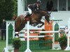 jumper Cecanto (Oldenburg show jumper, 2008, from Centadel)