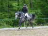 Springpferd Balou 655 (Westfale, 2005, von Balou du Rouet)