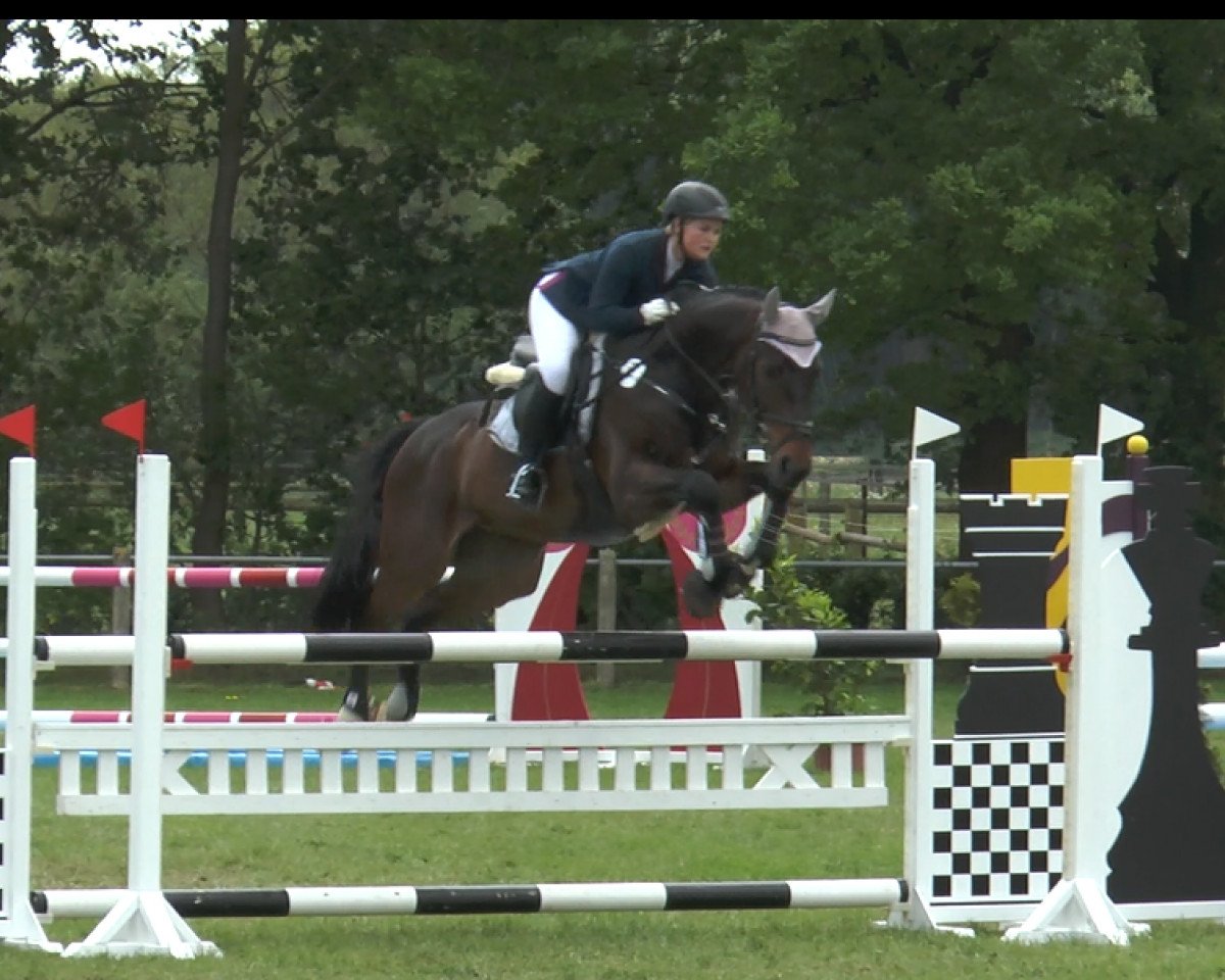 jumper Cornet MM (Westphalian, 2009, from Cornet Obolensky)