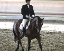 horse Le Grand Malheuer (Hanoverian, 2003, from Lauries Crusador xx)